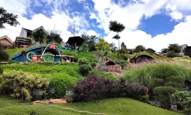 Rabbit Field (Taman Kelinci)