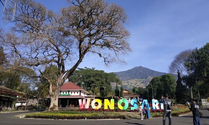 Kebun Teh Wonosari Lawang