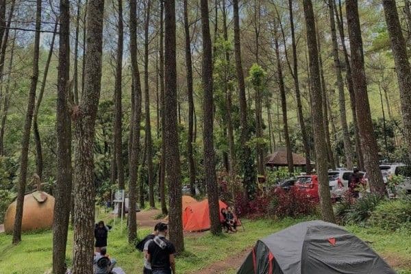 Bumi Perkemahan Bedengan